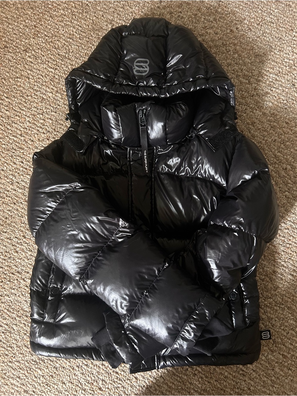 Aritzia The Super Puff Shorty High Gloss Down Jacket